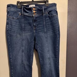 Lane Bryant High Rise Dark Blue Skinny Jeans